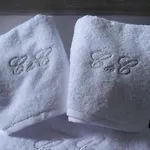 Bed & Breakfast Chateau Des Charmes Guereins