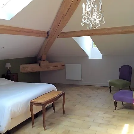 Chateau Des Charmes Bed & Breakfast Guereins